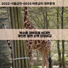 복수동대부대출 복수동비대면대출 대전서구대부업체 복수동급전대출개인돈 복수동소액월변대출