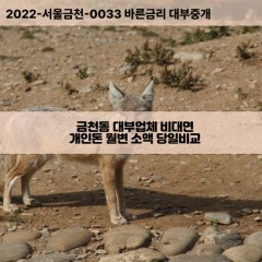 금천동대부대출 금천동비대면대출 청주시상당구대부업체 금천동급전대출개인돈 금천동소액월변대출