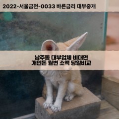 남주동대부대출 남주동비대면대출 청주시상당구대부업체 남주동급전대출개인돈 남주동소액월변대출