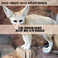 수동대부대출 수동비대면대출 청주시상당구대부업체 수동급전대출개인돈 수동소액월변대출