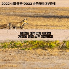 용정동대부대출 용정동비대면대출 청주시상당구대부업체 용정동급전대출개인돈 용정동소액월변대출