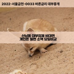 산남동대부대출 산남동비대면대출 청주시서원구대부업체 산남동급전대출개인돈 산남동소액월변대출