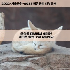 우암동대부대출 우암동비대면대출 청주시청원구대부업체 우암동급전대출개인돈 우암동소액월변대출