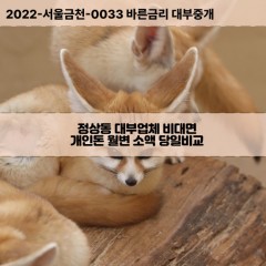 정상동대부대출 정상동비대면대출 청주시청원구대부업체 정상동급전대출개인돈 정상동소액월변대출