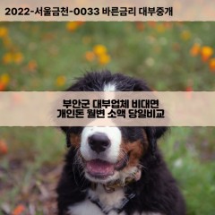 주산면대부대출 줄포면비대면대출 전북부안군대부업체 진서면급전대출개인돈 하서면소액월변대출