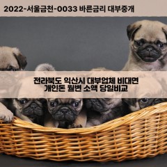 용동면대부대출 용안면비대면대출 전북익산시대부업체 웅포면급전대출개인돈 춘포면소액월변대출