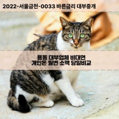 용동대부대출 용동비대면대출 전북김제시대부업체 용동급전대출개인돈 용동소액월변대출