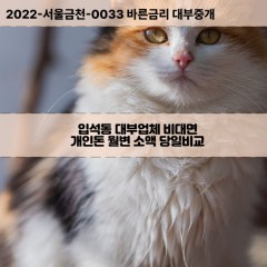 입석동대부대출 입석동비대면대출 전북김제시대부업체 입석동급전대출개인돈 입석동소액월변대출