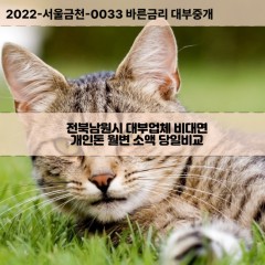 금지면대부대출 대강면비대면대출 전북남원시대부업체 대산면급전대출개인돈 덕과면소액월변대출