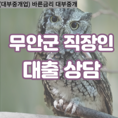 망운면대부대출 몽탄면비대면대출 무안군대부업체 무안읍급전대출개인돈 무안소액월변대출