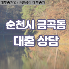 금곡동대부대출 금곡동비대면대출 순천시대부업체 금곡동급전대출개인돈 금곡동소액월변대출