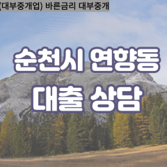 연향동대부대출 연향동비대면대출 순천시대부업체 연향동급전대출개인돈 연향동소액월변대출