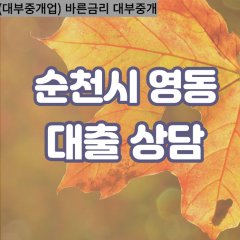 영동대부대출 영동비대면대출 순천시대부업체 영동급전대출개인돈 영동소액월변대출