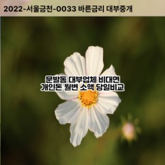 문발동대부대출 문발동비대면대출 파주시대부업체 문발동급전대출개인돈 문발동소액월변대출