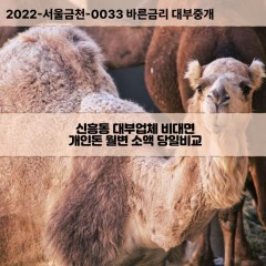 신흥동대부대출 신흥동비대면대출 대전동구대부업체개인돈 신흥동월변대부업체 신흥동소액월변대출