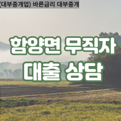 서하면대부대출 수동면비대면대출 함양군대부업체 안의면급전대출개인돈 유림면소액월변대출