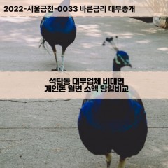 석탄동대부대출 석탄동비대면대출 전북익산시대부업체 석탄동급전대출개인돈 석탄동소액월변대출