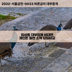 임상동대부대출 임상동비대면대출 전북익산시대부업체 임상동급전대출개인돈 임상동소액월변대출