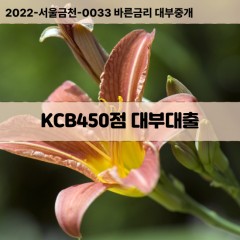 KCB450점대부대출 KCB450점비대면대출 KCB450점소액대부업체 KCB450점급전대출개인돈 KCB450점월변대출