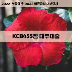 KCB455점대부대출 KCB455점비대면대출 KCB455점소액대부업체 KCB455점급전대출개인돈 KCB455점월변대출