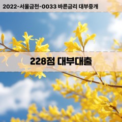 KCB228점대부대출 NICE228점비대면대출 KCB228점소액대부업체 NICE228점급전대출개인돈 KCB228점월변대출