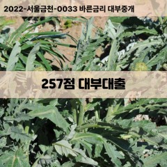 KCB257점대부대출 NICE257점비대면대출 KCB257점소액대부업체 NICE257점급전대출개인돈 KCB257점월변대출