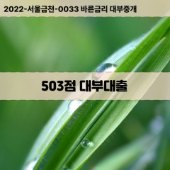 KCB503점대부대출 NICE503점비대면대출 KCB503점소액대부업체 NICE503점급전대출개인돈 KCB503점월변대출