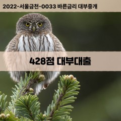 KCB428점대부대출 NICE428점비대면대출 KCB428점소액대부업체 NICE428점급전대출개인돈 KCB428점월변대출