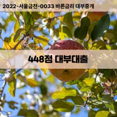 KCB448점대부대출 NICE448점비대면대출 KCB448점소액대부업체 NICE448점급전대출개인돈 KCB448점월변대출