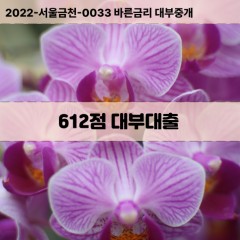 KCB612점대부대출 NICE612점비대면대출 KCB612점소액대부업체 NICE612점급전대출개인돈 KCB612점월변대출