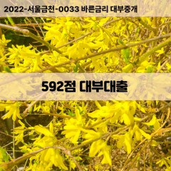 KCB592점대부대출 NICE592점비대면대출 KCB592점소액대부업체 NICE592점급전대출개인돈 KCB592점월변대출