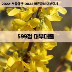 KCB599점대부대출 NICE599점비대면대출 KCB599점소액대부업체 NICE599점급전대출개인돈 KCB599점월변대출