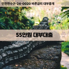 55만원대부대출 55만원비대면대출 55만원소액대부업체 55만원급전대출개인돈 55만원월변대출