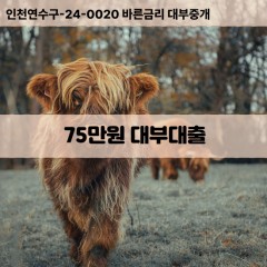 75만원대부대출 75만원비대면대출 75만원소액대부업체 75만원급전대출개인돈 75만원월변대출