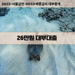 26만원대부대출 26만원비대면대출 26만원소액대부업체 26만원급전대출개인돈 26만원월변대출