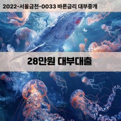 28만원대부대출 28만원비대면대출 28만원소액대부업체 28만원급전대출개인돈 28만원월변대출