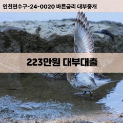 223만원대부대출 223만원비대면대출 223만원소액대부업체 223만원급전대출개인돈 223만원월변대출