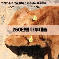 260만원대부대출 260만원비대면대출 260만원소액대부업체 260만원급전대출개인돈 260만원월변대출