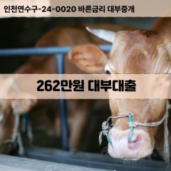 262만원대부대출 262만원비대면대출 262만원소액대부업체 262만원급전대출개인돈 262만원월변대출