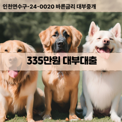 335만원대부대출 335만원비대면대출 335만원소액대부업체 335만원급전대출개인돈 335만원월변대출