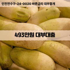 493만원대부대출 493만원비대면대출 493만원소액대부업체 493만원급전대출개인돈 493만원월변대출