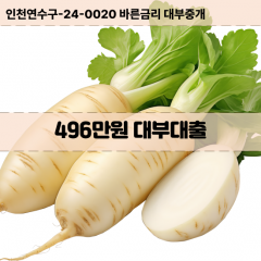 496만원대부대출 496만원비대면대출 496만원소액대부업체 496만원급전대출개인돈 496만원월변대출