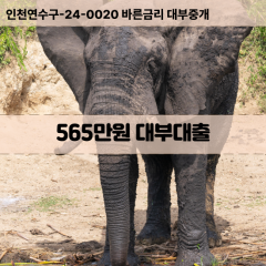 565만원대부대출 565만원비대면대출 565만원소액대부업체 565만원급전대출개인돈 565만원월변대출