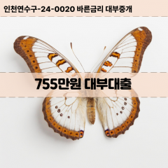 755만원대부대출 755만원비대면대출 755만원소액대부업체 755만원급전대출개인돈 755만원월변대출