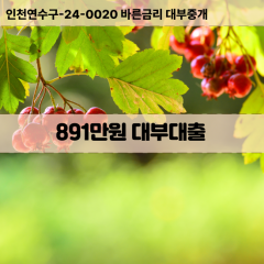 891만원대부대출 891만원비대면대출 891만원소액대부업체 891만원급전대출개인돈 891만원월변대출