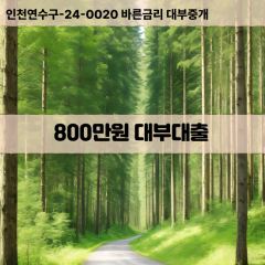 800만원대부대출 800만원비대면대출 800만원소액대부업체 800만원급전대출개인돈 800만원월변대출