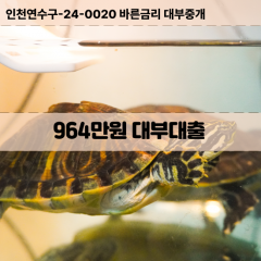 964만원대부대출 964만원비대면대출 964만원소액대부업체 964만원급전대출개인돈 964만원월변대출