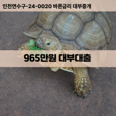 965만원대부대출 965만원비대면대출 965만원소액대부업체 965만원급전대출개인돈 965만원월변대출