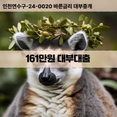 161만원빠른돈 161만원급한대출 161만원당일대출 161만원비대면무방문 161만원비교대출상담